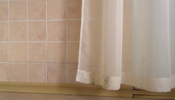 Best Water Damage & Mold Remediation  in , CT