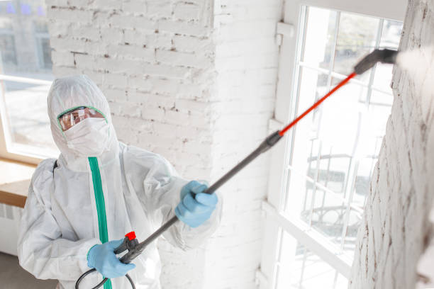 Best Post-Construction Mold Inspection  in , CT