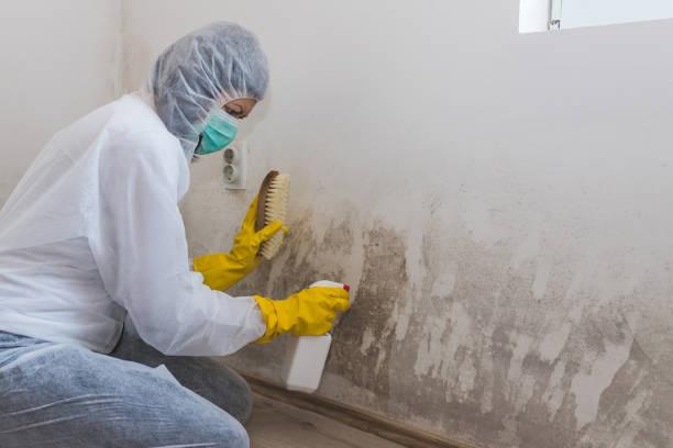 Best Air Quality Testing for Mold Spores  in , CT