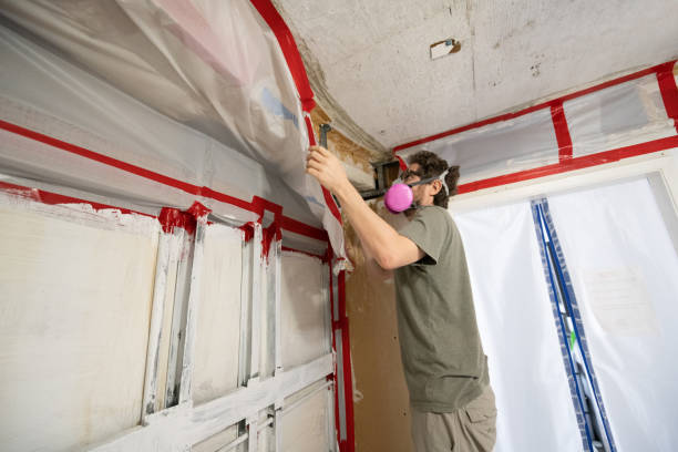 Best Residential Mold Inspection & Testing  in , CT