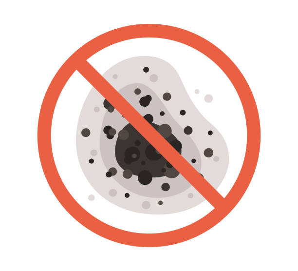 Best Mold Documentation for Insurance Claims  in , CT