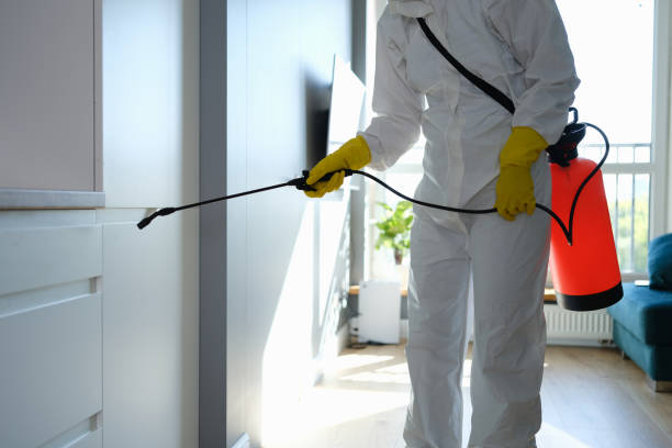 Best Mold Removal for HVAC Installations  in , CT
