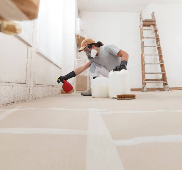 Best Mold Remediation for Healthcare Facilities  in , CT